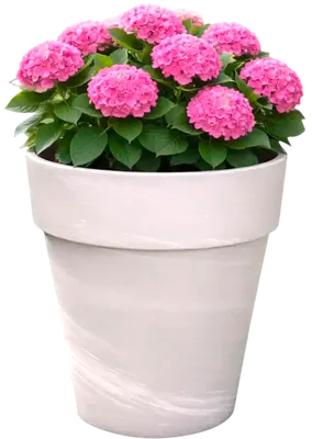 Вазон Cermax T-143-036-26-P