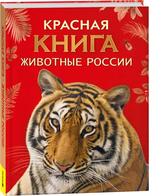 Энциклопедия Росмэн Красная книга. Животные России