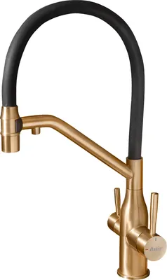 Смеситель Astir 74797G-2 (золотой брашированный/черный)
