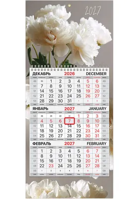 Календарь настенный Brauberg Пионы. 2027 год / 118359