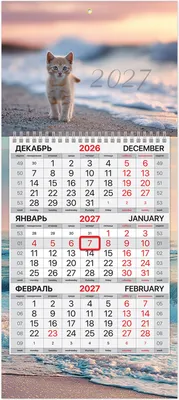 Календарь настенный Brauberg Котенок. 2027 год / 118361