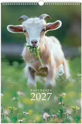 Календарь настенный Brauberg Символ года. 2027 год / 118384