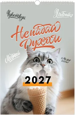 Календарь настенный Brauberg Не падай духом. 2027 год / 118385