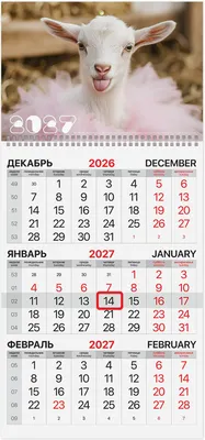Календарь настенный Brauberg Козочка. 2027 год / 118389
