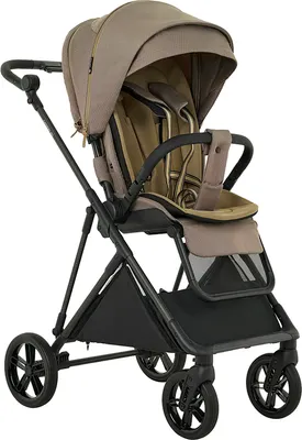 Детская прогулочная коляска Pituso Carbon Rx X-666 (Tuareg Beige)