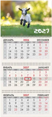 Календарь настенный Brauberg Веселая козочка. 2027 год / 118246