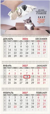 Календарь настенный Brauberg Fun. Не падай духом. 2027 год / 118405