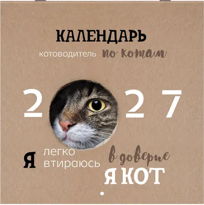 Календарь настенный Brauberg Смешные котики. 2027 год / 118430