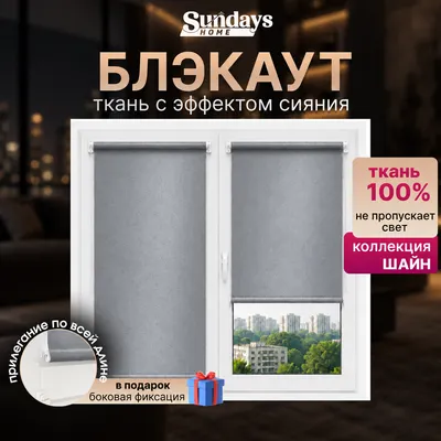 Рулонная штора Sundays Home Шайн 48x160 (серебристый)