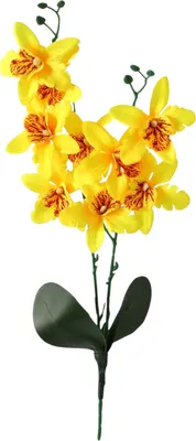 Искусственный цветок Poetry in flowers Орхидея Фаленопсис мультифлора / 2337922