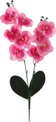 Искусственные цветы Poetry in flowers Орхидея Фаленопсис мультифлора / 2337924