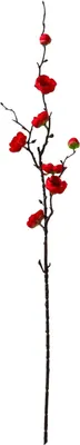 Искусственная ветка Poetry in flowers Веточка сакуры / 4642716