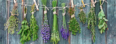 Картина на стекле Orlix Сушеные пучки трав / GL-00882