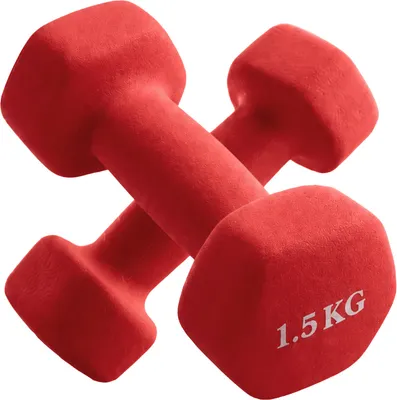Набор гантелей VictoryFit VF-DHN015-2 (1.5кг, 2шт, красный)