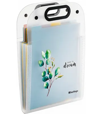 Папка-портфель Berlingo Spring / XF4_13141