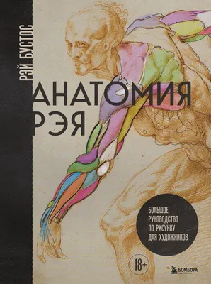 Нехудожественная книга Бомбора Анатомия Рэя. Большое руководство по рисунку для художников (Бустос Р. 9785042079870)