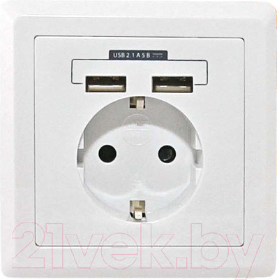 Розетка TDM SQ1816-0002