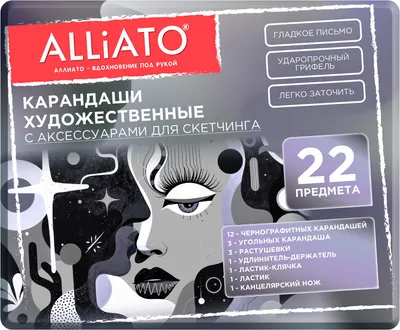 Набор простых карандашей Alliato С аксессуарами для скетчинга / 182164 (22пр)