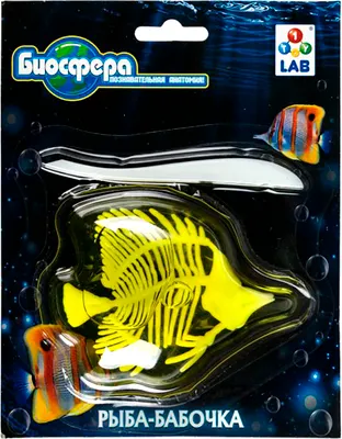 Набор для опытов 1Toy Lab БИОсфера Познавательная анатомия Рыба-бабочка / Т26728