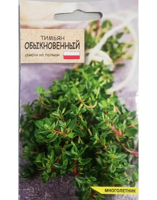 Семена Агромаркет Тимьян обыкновенный (0.2г)