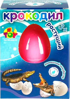 Набор для опытов 1Toy Крокодил / Т26779