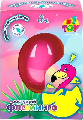 Набор для опытов 1Toy Фламинго / Т26780