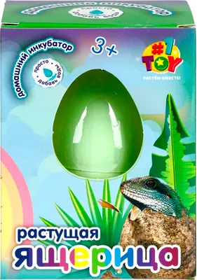 Набор для опытов 1Toy Ящерица / Т26782