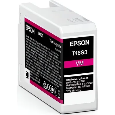 Тонер-картридж Epson T46S3 (C13T46S30N)