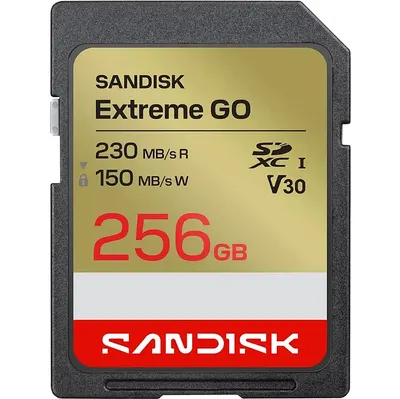 Карта памяти SanDisk Extreme GO SDXC 256GB UHS-I V30 (SDSDXGN-256G-GNCIN)