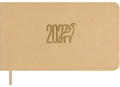 Еженедельник Escalada Виннер 2027 / 73661 (64л, бежевый)
