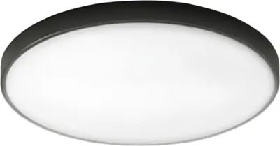 Потолочный светильник Homsly Светодиодный 40W-B-R-4000K-GLSY-2 (черный)