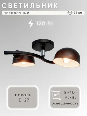 Потолочный светильник Aitin-Pro НПБ 02-2x60-101 / C1021/2A (черный)