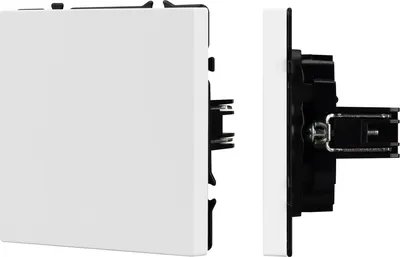 Декоративная заглушка для розетки Arlight SCT-MGG-SFPL-WH / 061824(1)