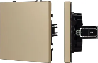 Декоративная заглушка для розетки Arlight SCT-MGG-SFPL-GD / 061821(1)