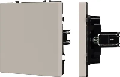 Декоративная заглушка для розетки Arlight SCT-MGG-SFPL-CA / 061820(1)