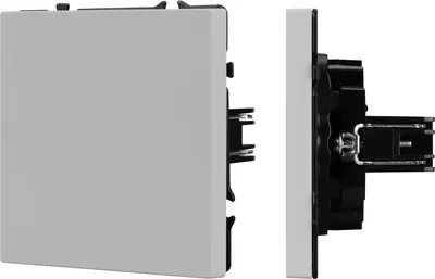 Декоративная заглушка для розетки Arlight SCT-MGG-SFPL-IS / 061823(1)