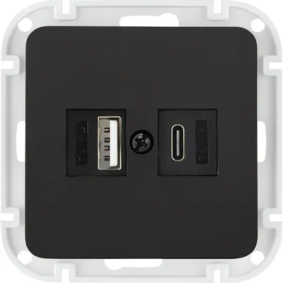 Розетка Sundays Electric USB-A и USB-C с двумя блоками питания РП5-6562 (карбон)