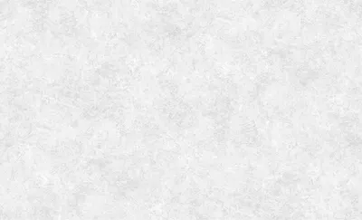 Виниловые обои Erismann Profi Deco Maison 60846-03 (1.06x10.05м)