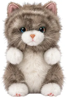 Мягкая игрушка Maxitoys Кошечка MT260404-15