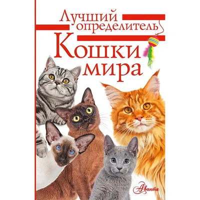 Энциклопедия АСТ Кошки мира. Определитель, интегральная обложка (Михальская Анна)