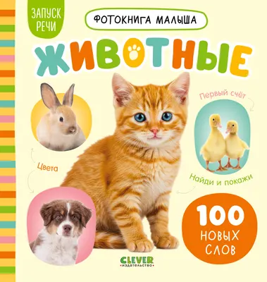 Развивающая книга CLEVER Фотокнига малыша. Животные, твердая обложка