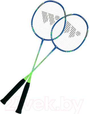 Набор для бадминтона WISH Fusiontec 770K (синий/зеленый)