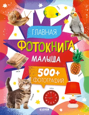 Развивающая книга CLEVER Главная фотокнига малыша, твердая обложка