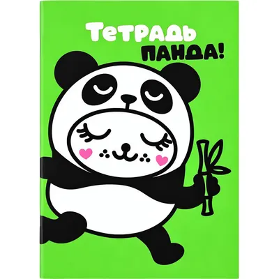 Набор тетрадей ILikeGift Milota Box Панда / K-136-NB-027-10 (12шт, 12л, клетка)