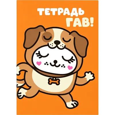 Набор тетрадей ILikeGift Milota Box Собачка / K-136-NB-027-13 (12шт, 12л, клетка)