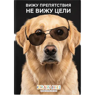 Набор тетрадей ILikeGift Draw Me! Не вижу цели / K-136-NB-028-02 (12шт, 12л, клетка)
