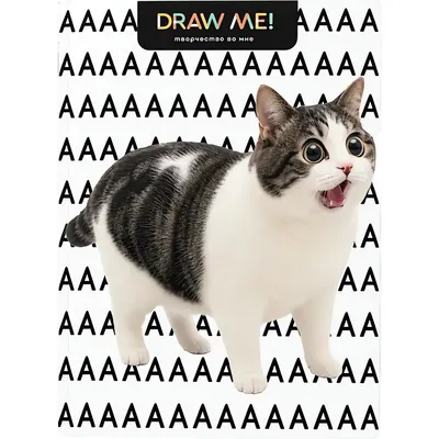 Набор тетрадей ILikeGift Draw Me! Нет слов, одни эмоции / K-136-NB-028-03 (12шт, 12л, клетка)