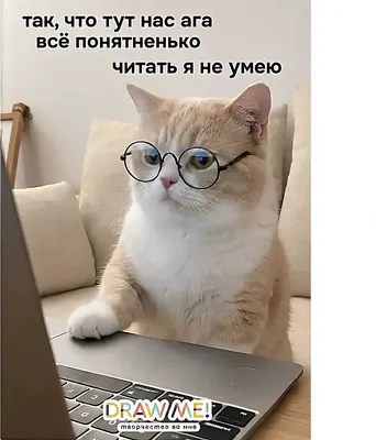 Набор тетрадей ILikeGift Draw Me! Все понятненько / K-136-NB-028-04 (12шт, 12л, клетка)