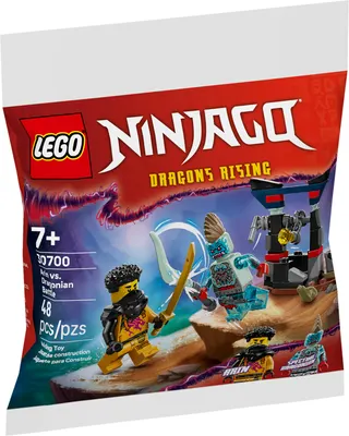 Конструктор Lego Ninjago. Битва Арина против дракония / 75965