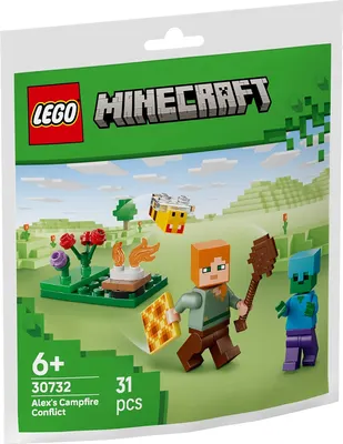 Конструктор Lego Minecraft. Схватка у костра / 75973